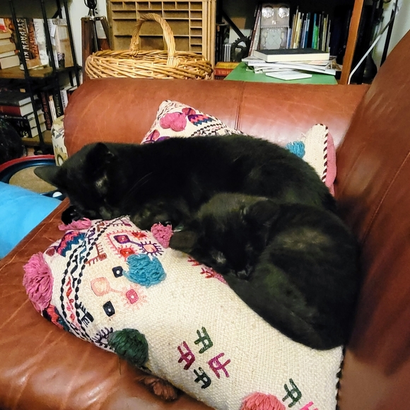 Meet your Posher, Emily - Picture 5 of 14